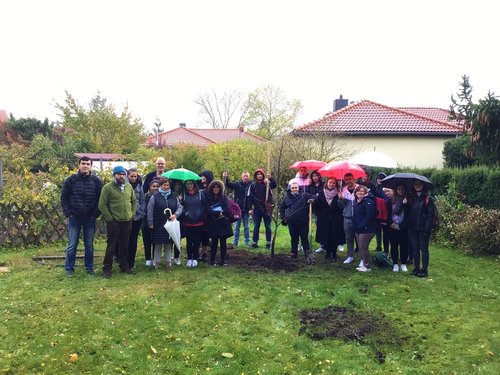 Care Campus Harz Baumpflanzung